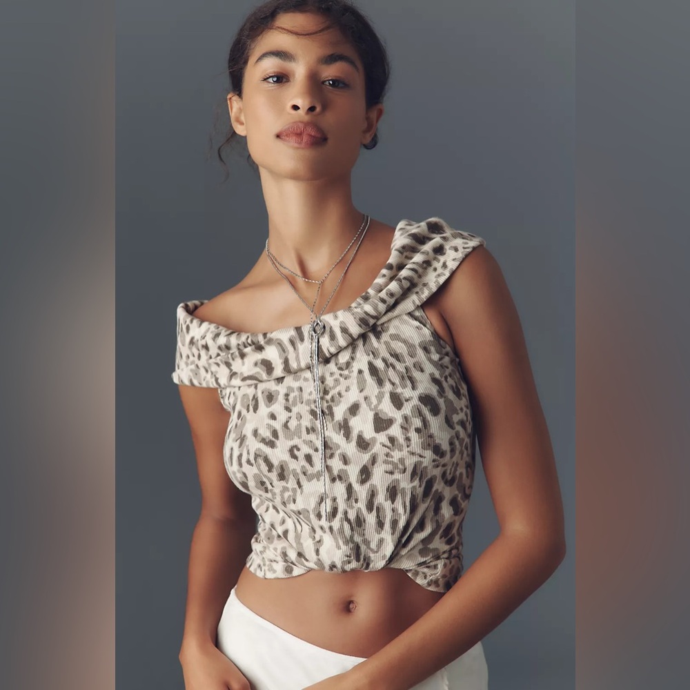 Anthropologie Beige and Brown Leopard Print Off-Shoulder Crop Top